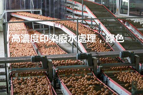 “高濃度印染廢水處理，綠色創(chuàng)新，凈享環(huán)保新篇章”